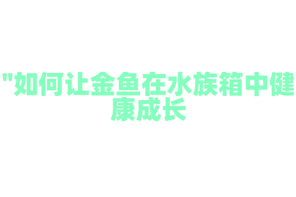 "如何让金鱼在水族箱中健康成长？"